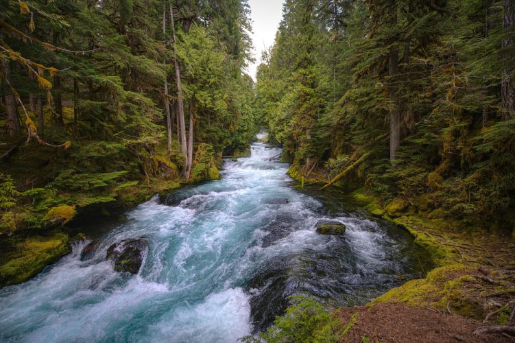 mckenzie-river-5129717_960_720